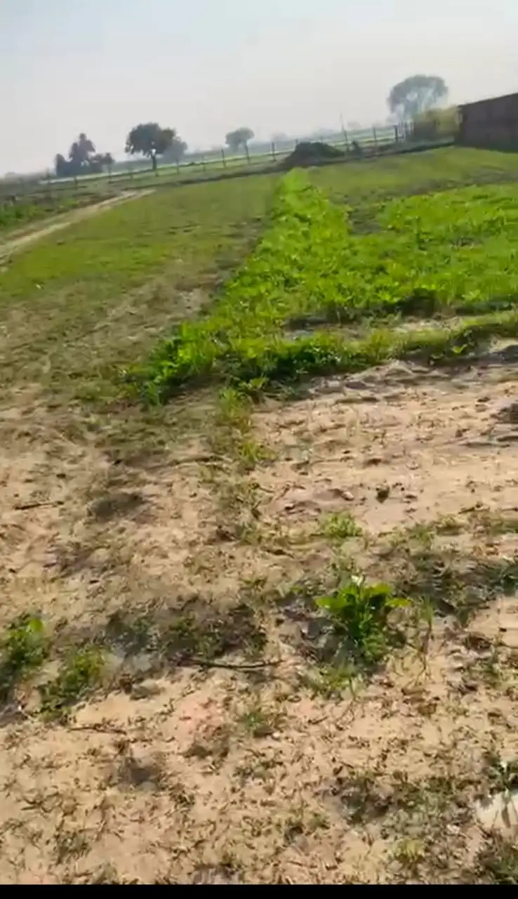 Verified Polyhouse<br>Agriculture Property in Meerut  - AGRICULTURE LAND IN PRIME LOCATION | Bhavya Ventures