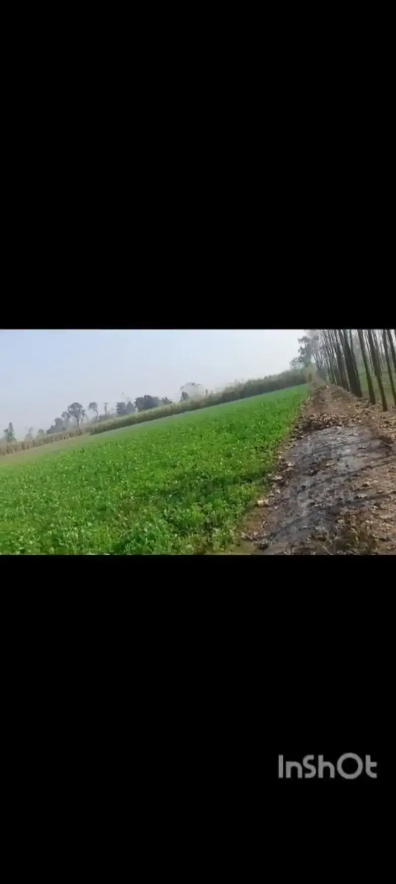 Verified  Property in Nangal, Saharanpur  - Agriculture land in Saharanpur  | Bhavya Ventures
