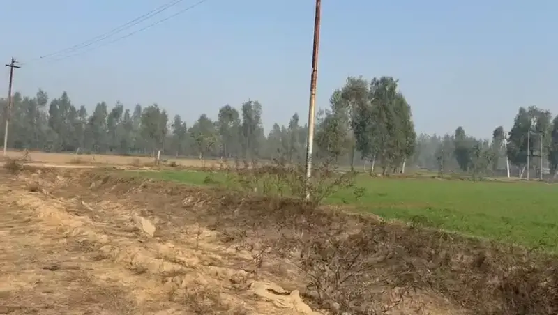 Verified Polyhouse<br>Agriculture Property in AMROHA DISTT - BEST  agriculture PLOT for investment, farmhouse, agro projects | Bhavya Ventures