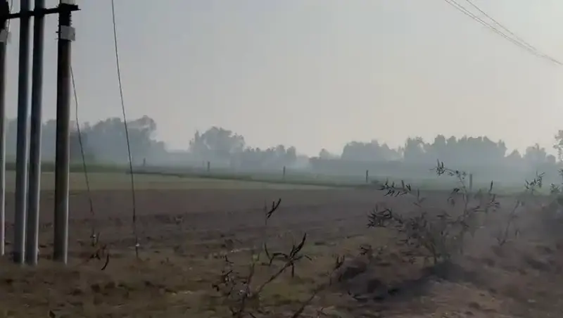 BEST  agriculture PLOT for investment, farmhouse, agro projects Interior View - Polyhouse<br>Agriculture in AMROHA DISTT