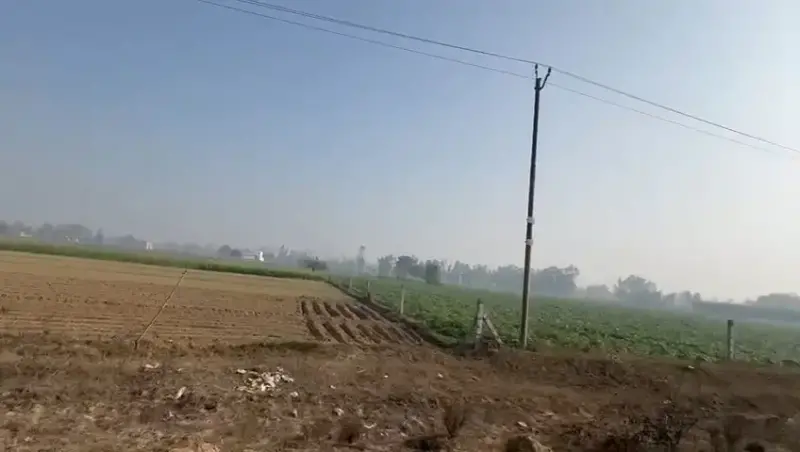 BEST  agriculture PLOT for investment, farmhouse, agro projects Interior View - Polyhouse<br>Agriculture in AMROHA DISTT