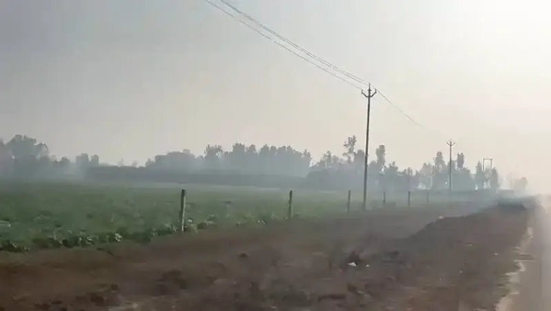 BEST  agriculture PLOT for investment, farmhouse, agro projects Interior View - Polyhouse<br>Agriculture in AMROHA DISTT