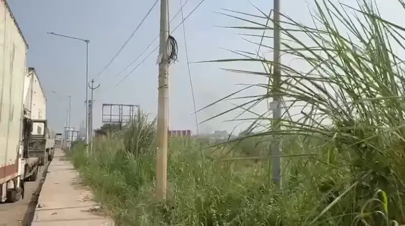 Perfect location for PLOTTING Interior View - Polyhouse<br>Agriculture in Dadri-sikandrabad 