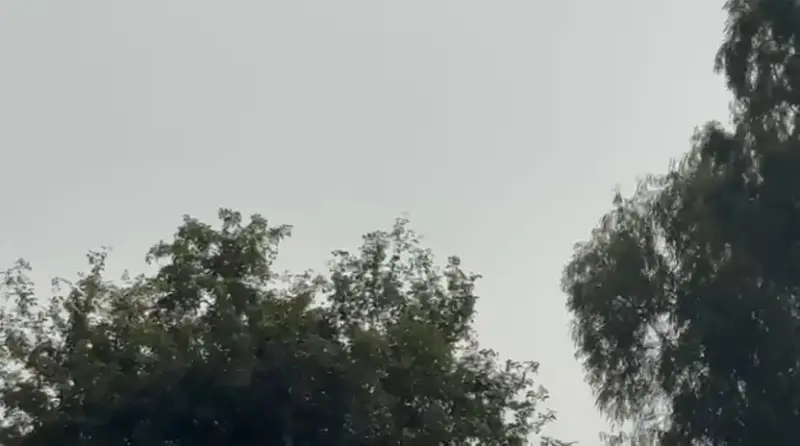 Perfect location for PLOTTING Interior View - Polyhouse<br>Agriculture in Dadri-sikandrabad 