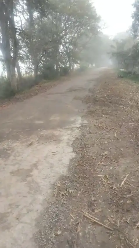 Verified Polyhouse<br>Agriculture Property in MAWANA, MEERUT - BUY AGRICULTURE LAND AT VERY AFFORDABLE PRICE | Bhavya Ventures