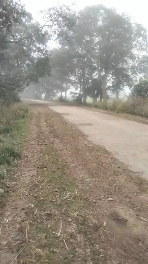 BUY AGRICULTURE LAND AT VERY AFFORDABLE PRICE Interior View - Polyhouse<br>Agriculture in MAWANA, MEERUT