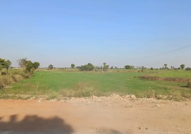 Prime 80 Bigha R-Zone Property on Meerut-Hapur Highway, Hapur Near Meerut  -  Ideal for Township & Commercial Use Interior View - Polyhouse<br>Agriculture in Near Park City Meerut Road Hapur
