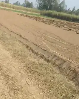 Prime 150 Bigha Farm Land Near Uttam Sugar Mill Najibabad | Mandaver Road, Bijnor Interior View - Polyhouse<br>Agriculture in Near Uttam Sugar Mill, Najibabad, Bijnor