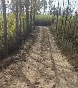 Verified Polyhouse<br>Agriculture Property in Near Uttam Sugar Mill, Najibabad, Bijnor - Prime 150 Bigha Farm Land Near Uttam Sugar Mill Najibabad | Mandaver Road, Bijnor | Bhavya Ventures