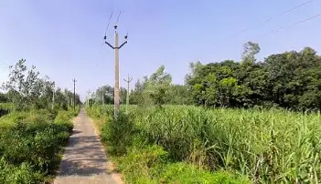 Verified Polyhouse<br>Agriculture Property in Tugalpur Kameda, Sadar Tehsil Muzaffarnagar - 100 Bigha Agriculture Land for Sale on Sikri Road Near Tugalpur Kameda, Muzaffarnagar Sadar Tehsil | Bhavya Ventures