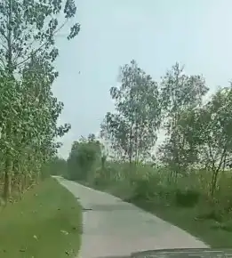 Verified Polyhouse<br>Agriculture Property in Chharchhi Mod, Bijnor - Prime Location Agriculture land in Bijnore ,800 bigha | Bhavya Ventures