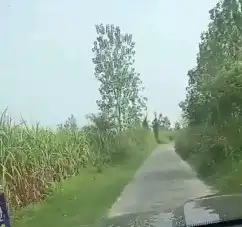 Prime Location Agriculture land in Bijnore ,800 bigha Interior View - Polyhouse<br>Agriculture in Chharchhi Mod, Bijnor