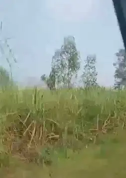 Prime Location Agriculture land in Bijnore ,800 bigha Interior View - Polyhouse<br>Agriculture in Chharchhi Mod, Bijnor