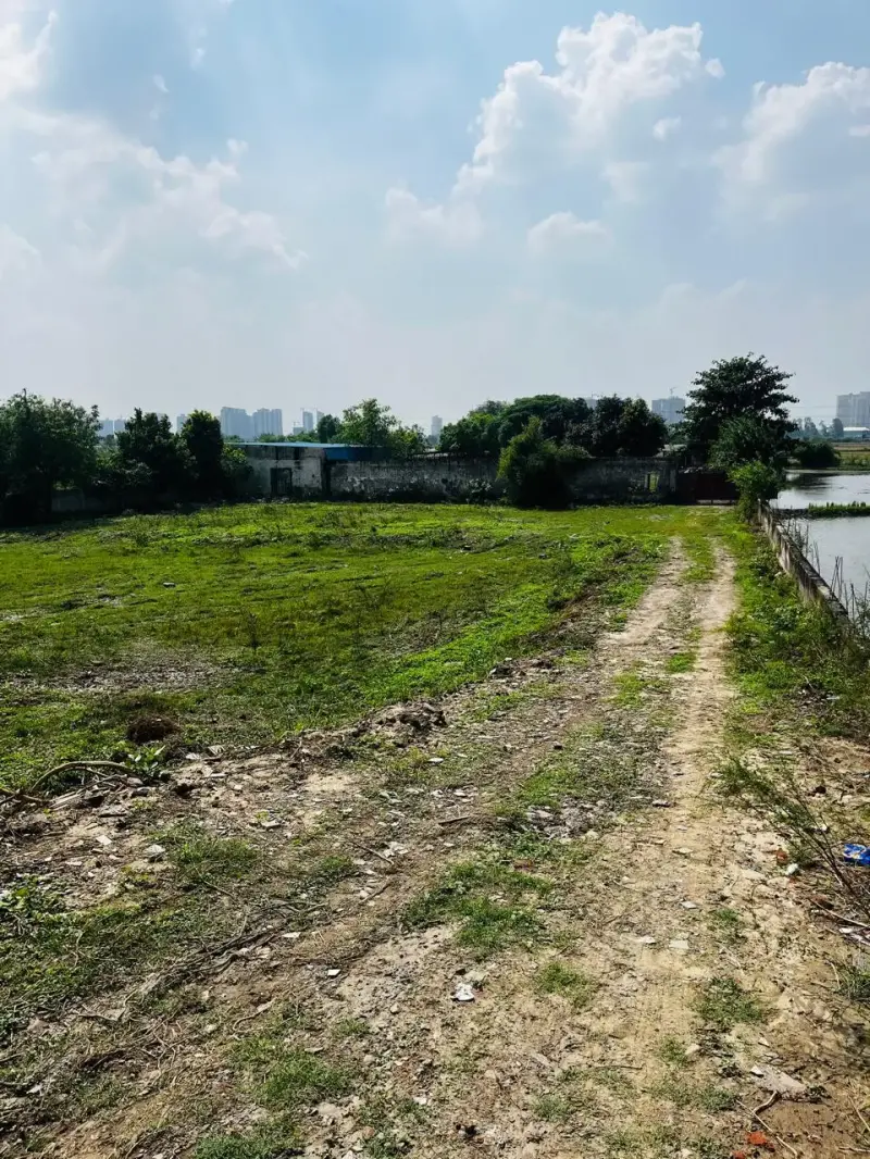 Why Invest in Land in  Real Estate