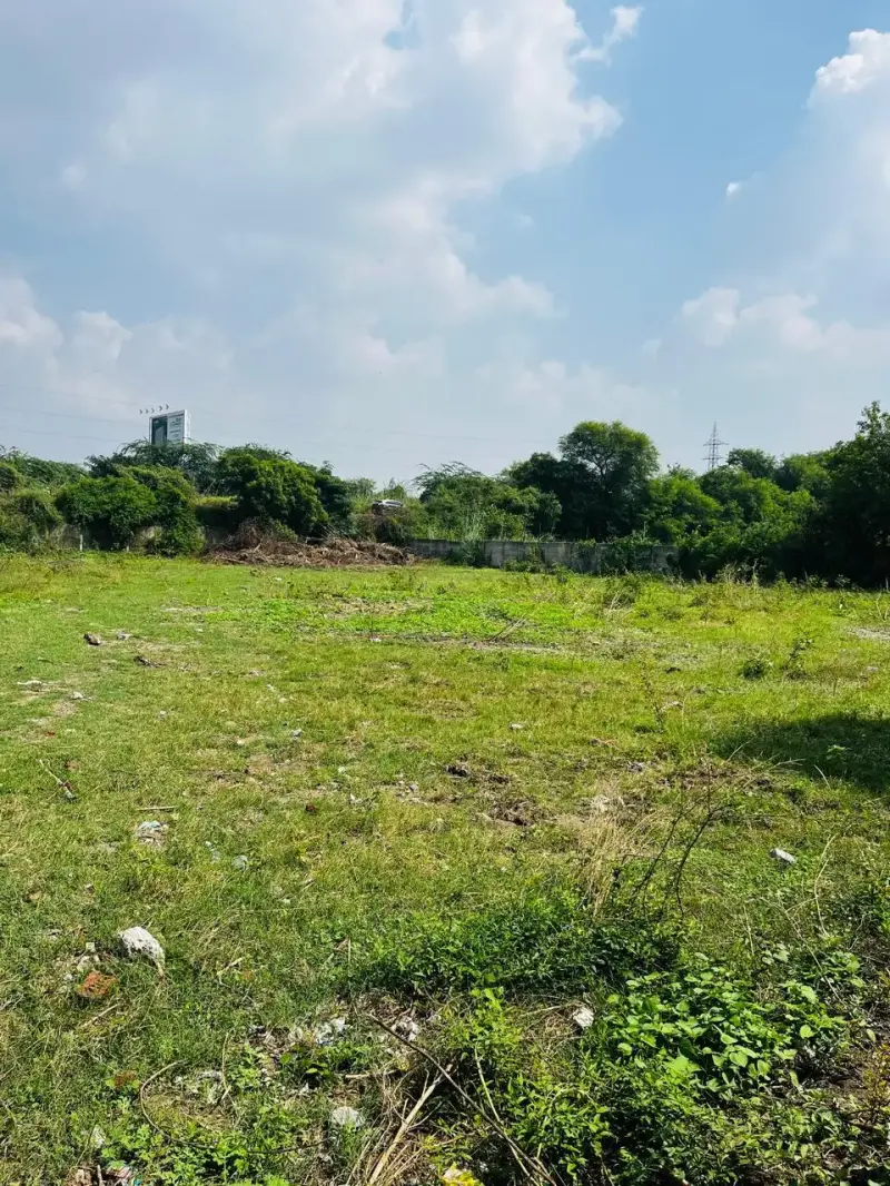 Why Invest in Land in  Real Estate