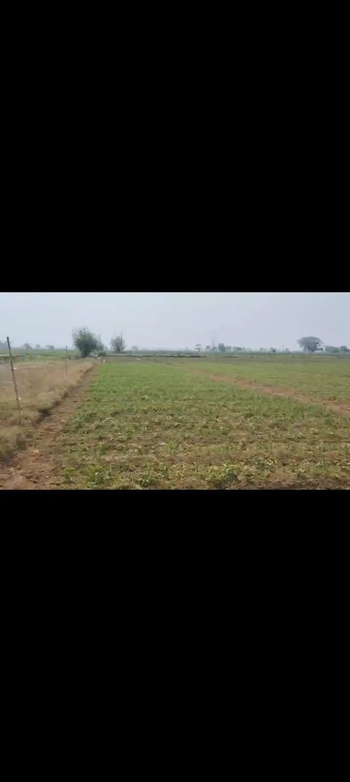 Verified Polyhouse<br>Agriculture Property in HAPUR (PARTAPUR-ATROLI-SHAMLI) - PRIME LOCATION AGRICULTURE LAND IN HAPUR (PARTAPUR) 3 BIGHA | Bhavya Ventures